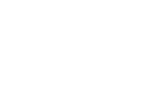 INSA