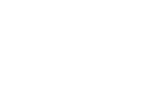 Toulouse School of Economics