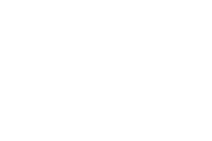 Logo Lallemand