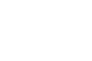 Logo LP Promotion