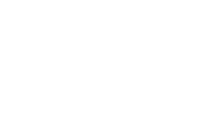 Logo Demain La Terre